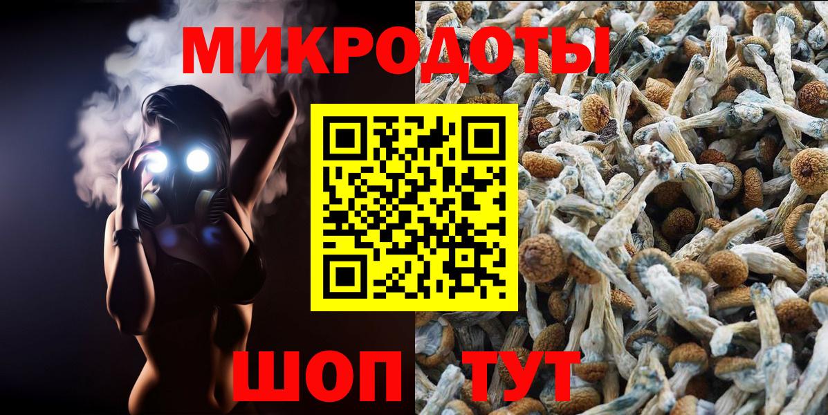 Новороссийск  Псилоцибиновые грибы MAGIC MUSHROOMS  закладки  Вход с VPN  Галлюциногенные грибы мицелий 