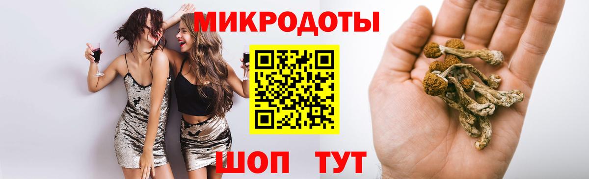 Псилоцибиновые грибы Psilocybine cubensis Новороссийск